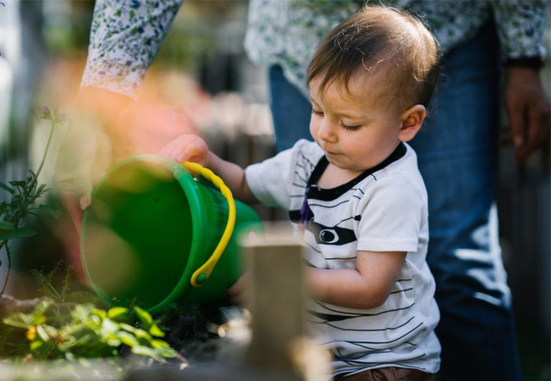 Child pours a bucket of water onto plants